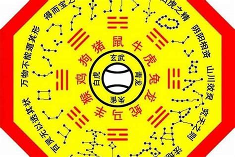 八字命主意思|什么是八字主星 (四柱八字主星和主星代表什么)